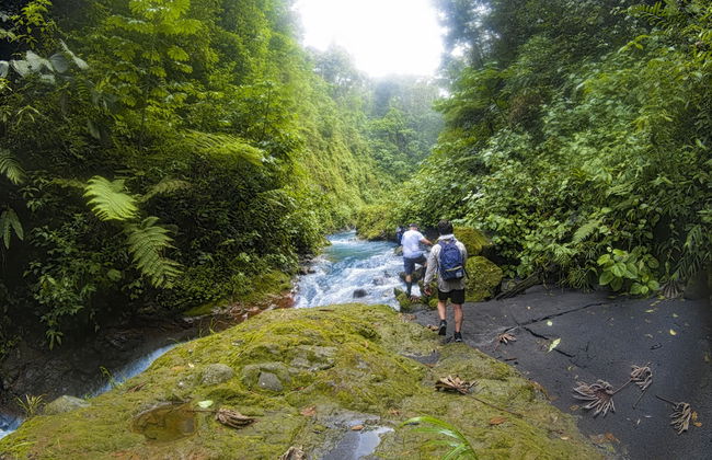 Oski Lodge - Foto 50