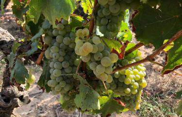 Gite de la fontaine Bondrée - Foto 9