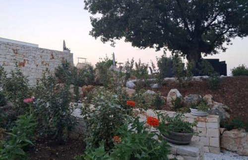 Casa Vacanze 'La Quercia' - Foto 77