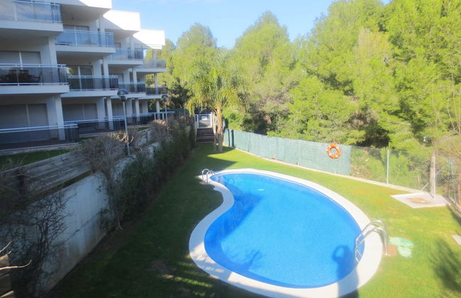 Pinar de la Cala - Foto 24