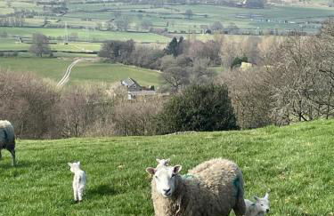 28 NIGHT MINIMUM STAY Unique 18th-Century Grade II Listed Barn & Cottage - Foto 28