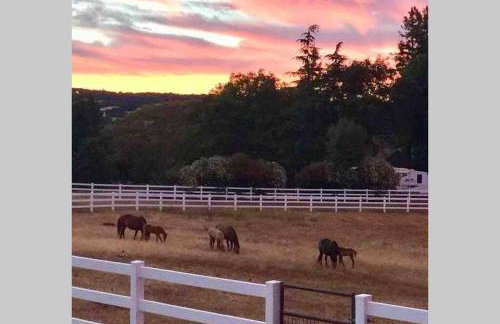 Amazing Loft on Horse Ranch - Foto 6