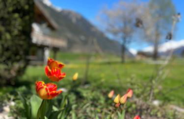 Tiki Lodge - hot tub & sauna - Photo 11