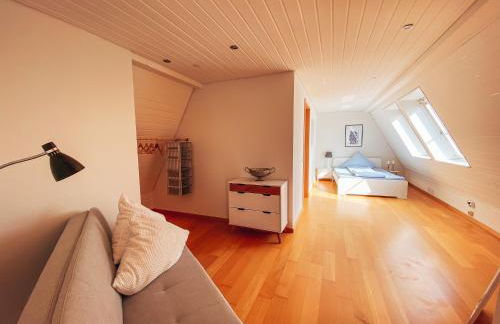 Rheinloft 3 - Große Giebelwohnung mit Dachterrassen an der Rheinpromenade - Foto 12