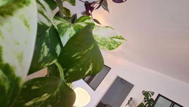 Hôte Stéphanois &parking - Foto 4