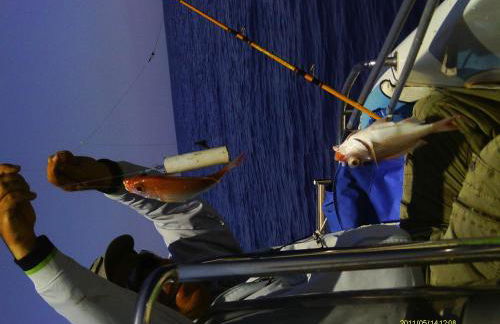 Irinoula Dreams - Foto 147