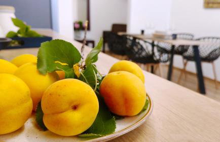 Ifigenias apartment - Foto 17