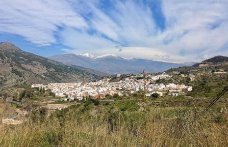 Beautiful home with private pool - Foto 25