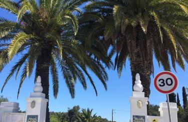 Casa Palmeria , Quinta da Saudade - Foto 14