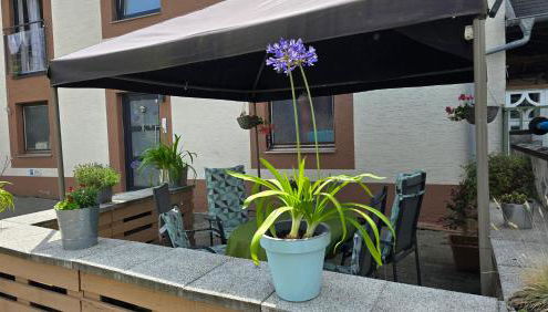 Haus Valentonio - Foto 5, Garden