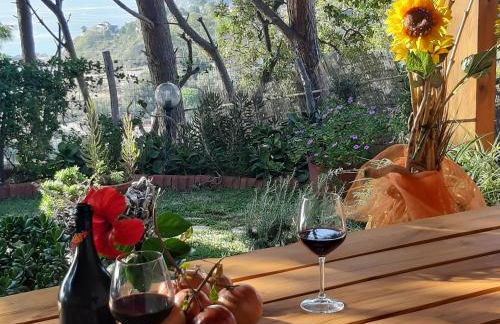 Ville Pini e Aurelia - Foto 6