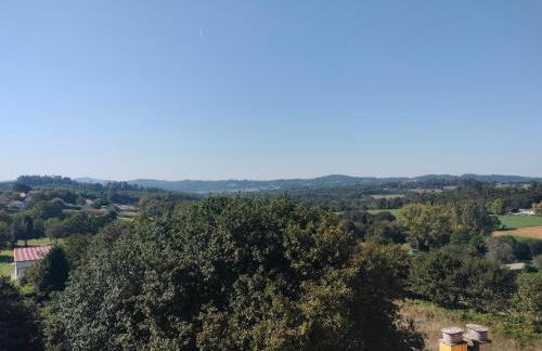 L&L Livin & Live - Foto 47