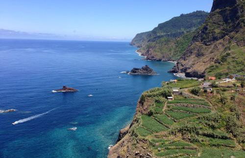 Blooming Botanic Houses - Foto 25