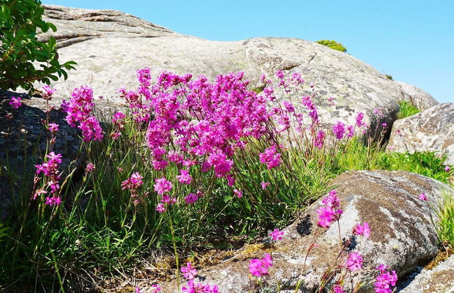 4 Person Holiday Home in Grundsund - Foto 28