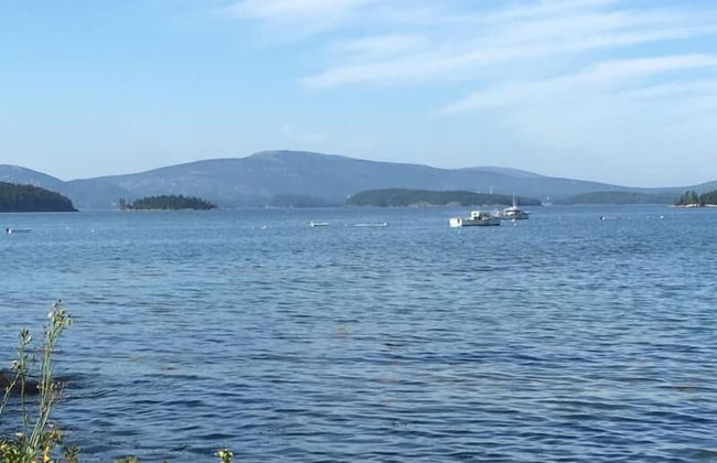 Clamshell By The Sea - Photo 26