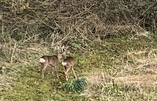 Nantucket House - Photo 23