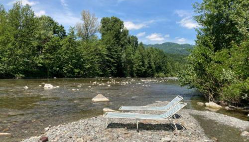 ranocchiaia - Foto 2