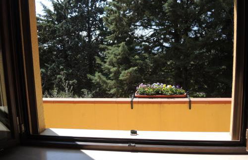 Agriturismo con cucina Il Favaio - Foto 57