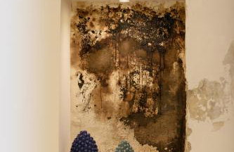 Palazzetto Vico San Marco - Photo 52