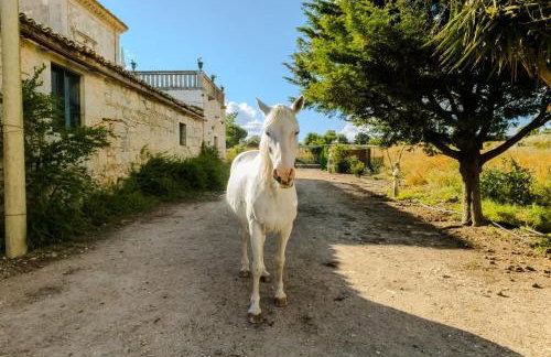 Villa Castiglione 1863 - The real Sicilian holiday - Foto 6