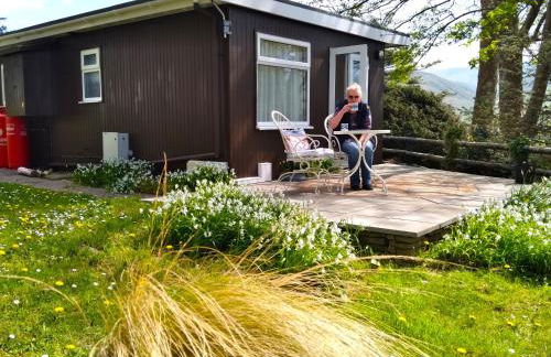 Sea Moss Cabin - Foto 7