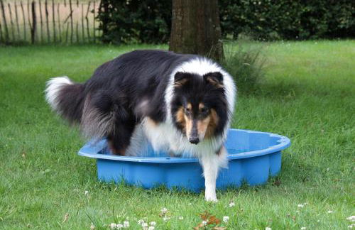 Ediths Haus - Foto 43