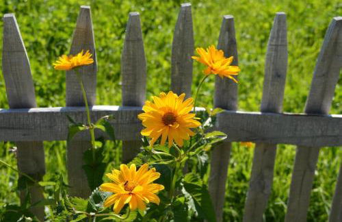 Ferienwohnung Wild - Foto 35