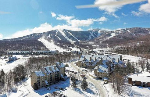 LilBear- AC, Pool, Sauna, Hot Tub, Near Resort - Foto 34