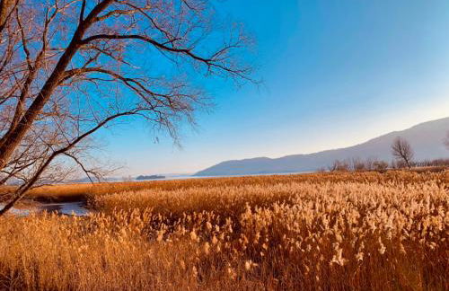 La Tana Del Ludo - Foto 69