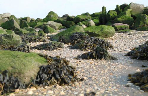 Küstenjunge "Flut" - Foto 5