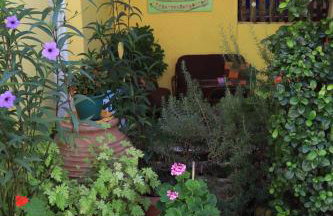 Summer studios 1 - Photo 4