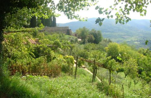 Apartments Judit - Foto 49