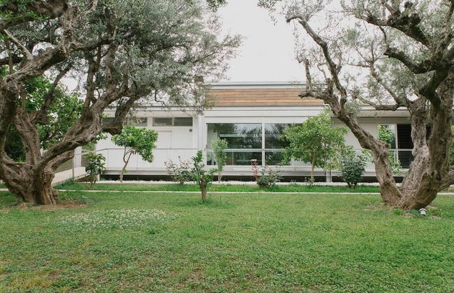 Studio Rio Unique Space With Garden and Garage - Foto 7