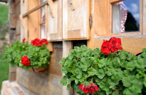 Grebengradska Medna Hiža - Foto 60