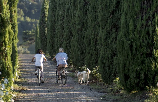 Casale Podernovo - Foto 13