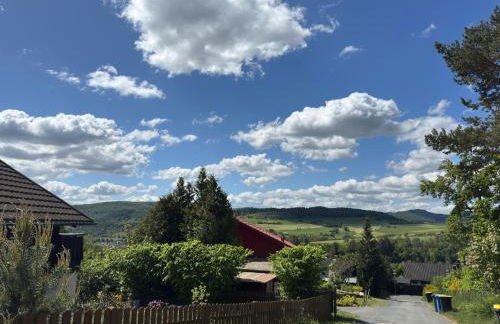 Ferienhaus Sackpfeifenblick, Hatzfeld - Photo 75