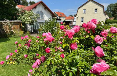 Ferienhaus Das Häuschen - Photo 11