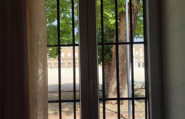 Casa de las Brasas - Piso frente al Palacio Real de Aranjuez - Foto 5