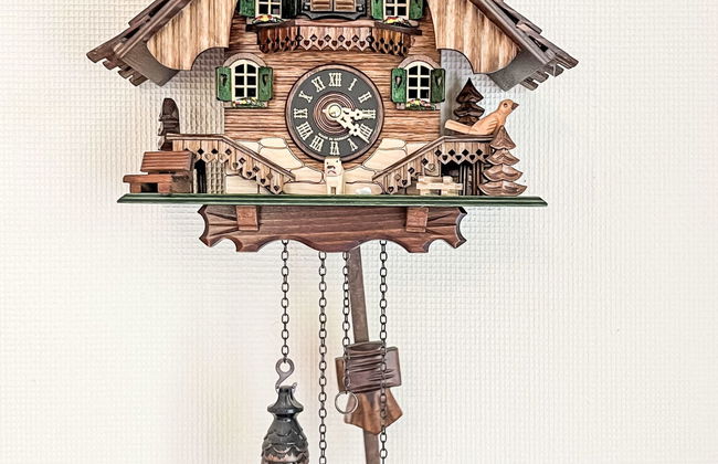 Vergissmeinnicht - Foto 36