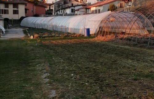 Little Family - Foto 6