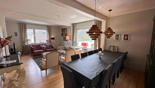 VILLA WALDHAUS WILLINGEN SAUERLAND - Charming Villa near Forest for 12 Guests with Huge Garden - Nearby Winter Sports Area with Ski Slope - Hiking and Nature - Foto 3