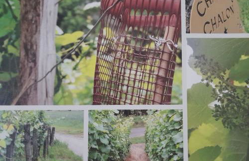 Gite des Cépages - Foto 24