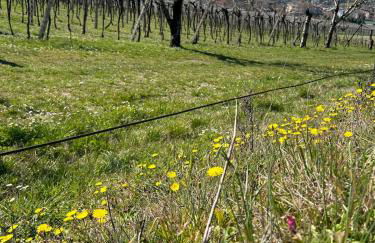 Dimora Valpantena Luminoso appartamento - Foto 66