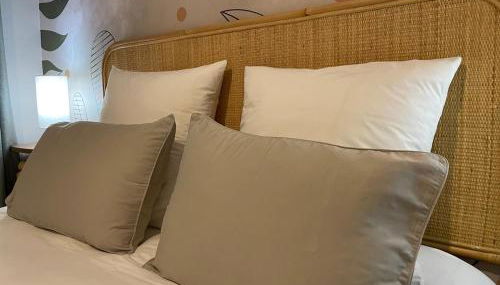 LE MAS maison vue sur Loire jardin 4 - Foto 4