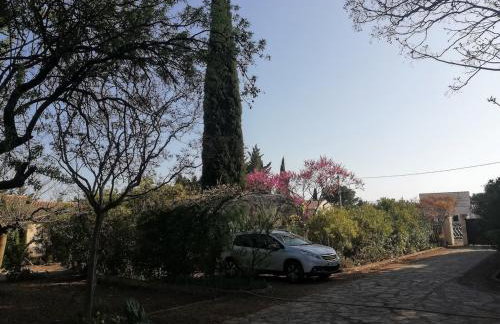 Comme un avant-goût du Nirvana - Photo 12