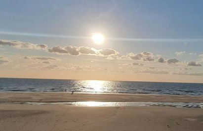 L'escapade suspendue - logement Le Cèdre Rouge, vue pinède et spa - Foto 12