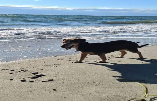 Luxury Retreat With Spa - By Traum Ferienwohnungen - Photo 23