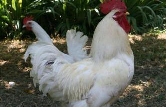 Collina e mare - Foto 20