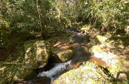 Chalé Aconchegante, Paz e Natureza - Foto 29