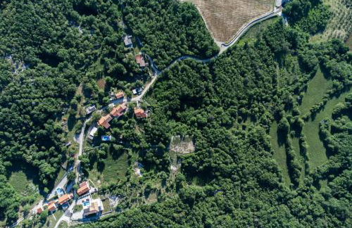 Villa TonKa with jacuzzi sauna and private pool - Photo 49